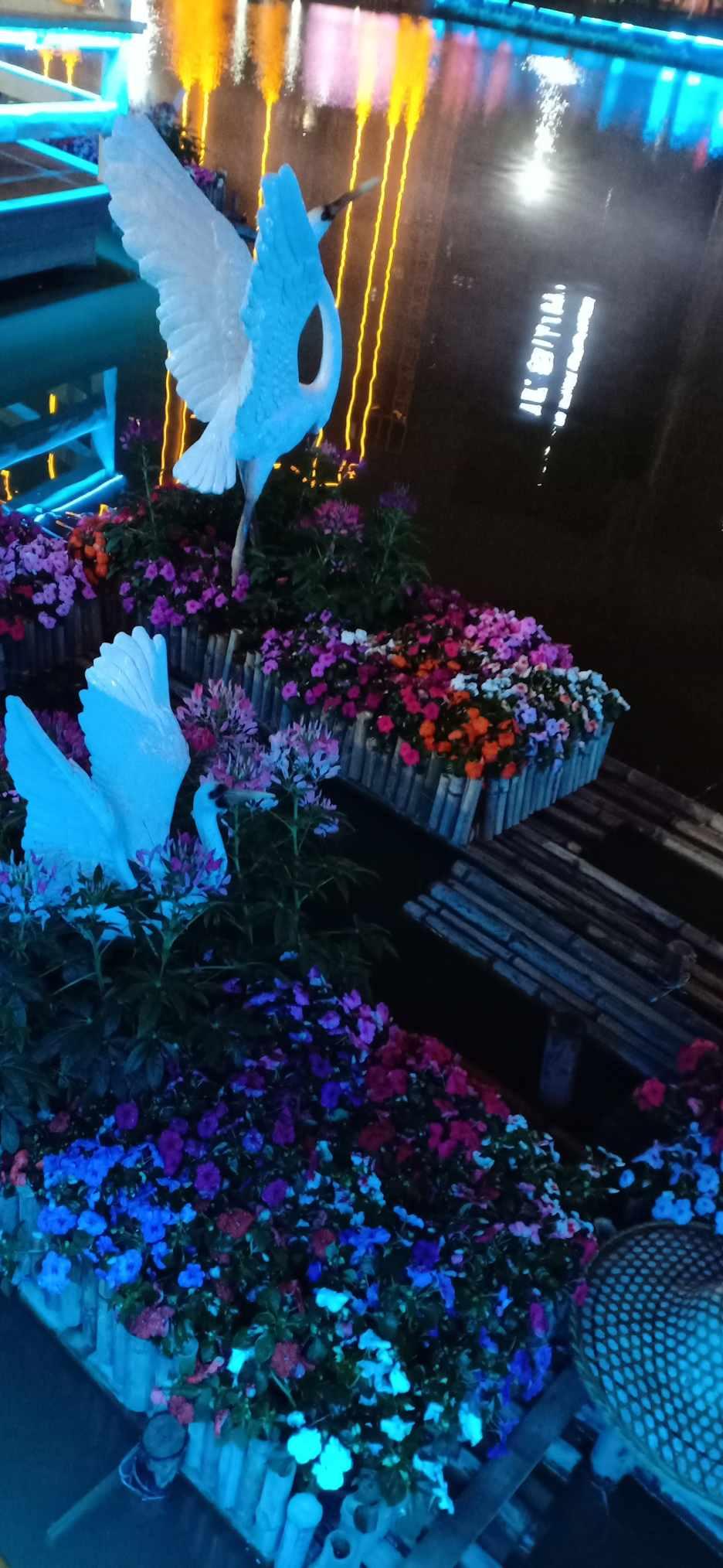 狗狗记仇的表现